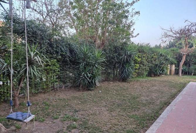 7961935 - صورة العقار 3