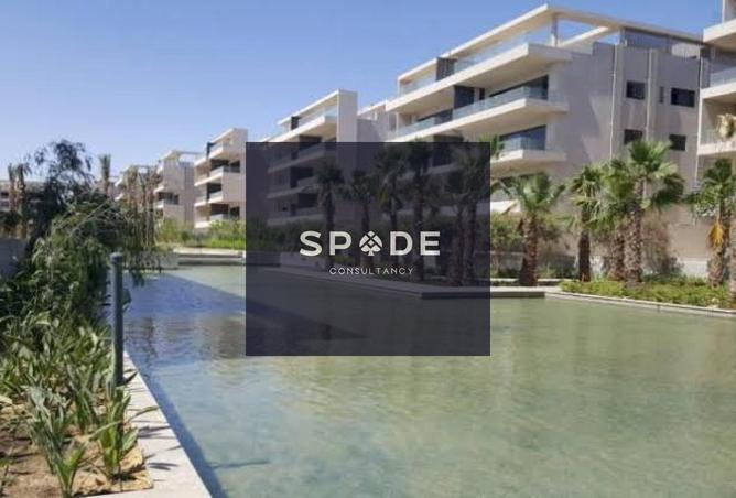 8180363 - Property Image 3