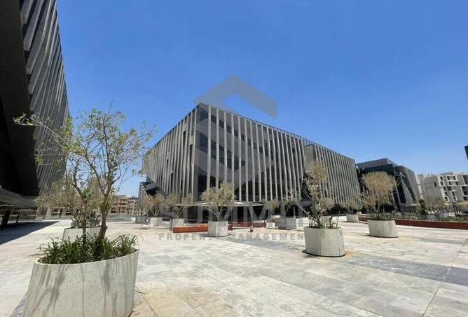 8137562 - صورة العقار 3