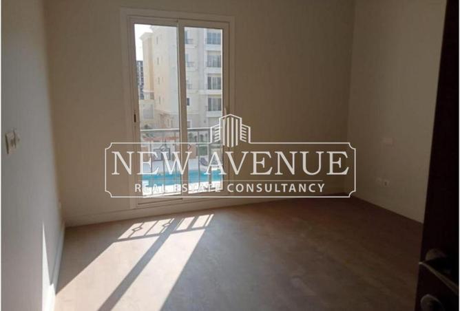 8251562 - Property Image 3