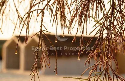 Chalet - 3 Bedrooms - 3 Bathrooms for sale in Marsa Baghush - Qesm Marsa Matrouh - North Coast