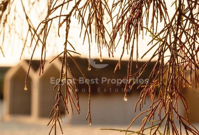 8433968 - Property Image 2