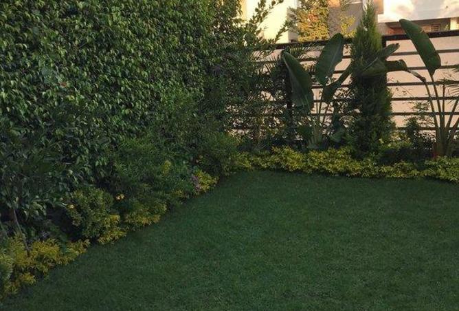 8197928 - صورة العقار 2