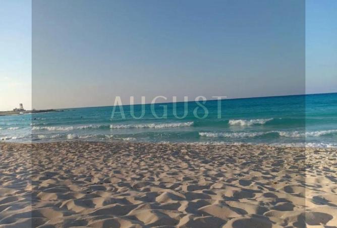 8114693 - Property Image 2