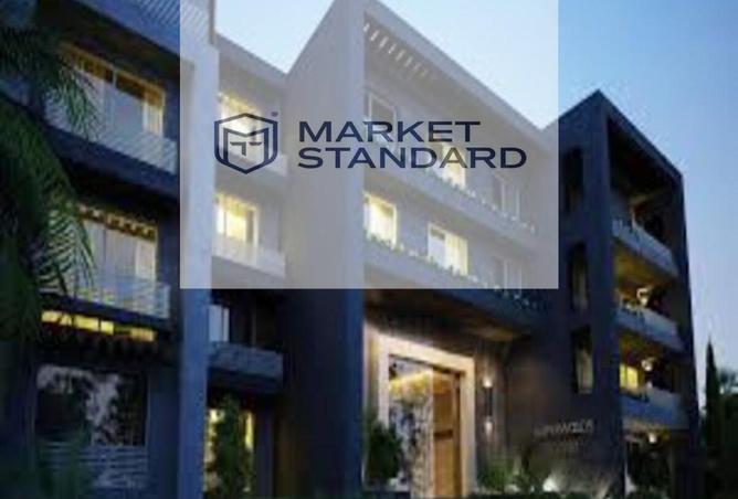 8243381 - Property Image 3