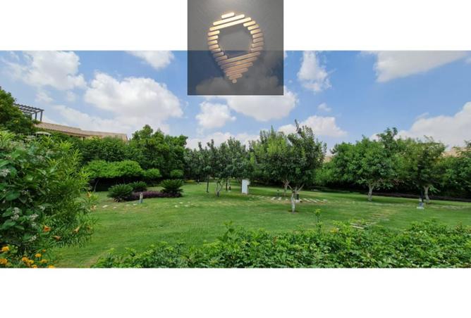 8554653 - الصورة الرئيسية للعقار