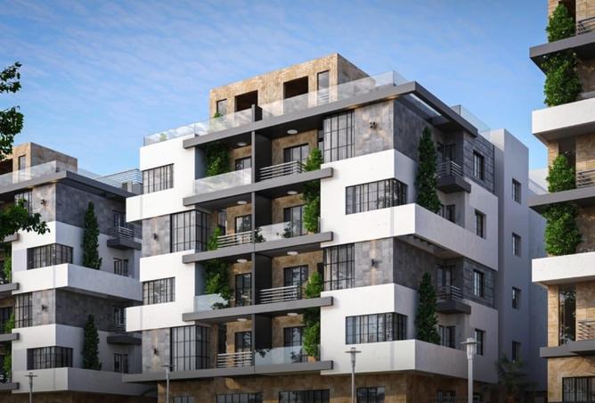 8431485 - Property Image 2