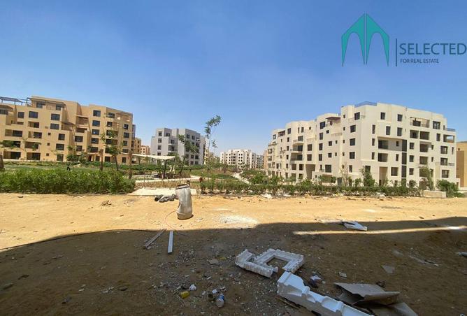 8064323 - Property Image 3