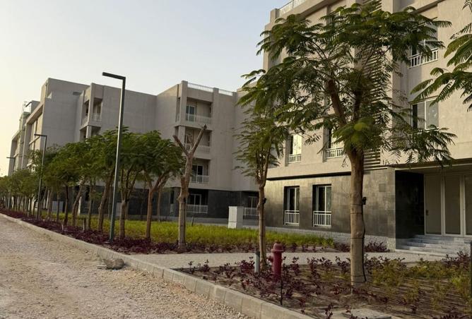 8168658 - صورة العقار 3