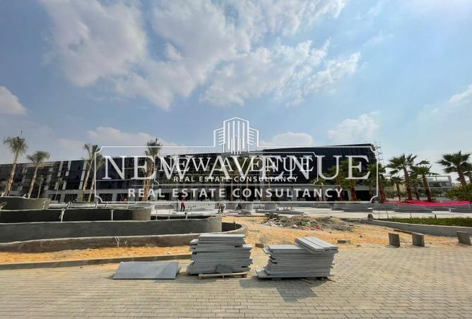 8482981 - Property Image 3