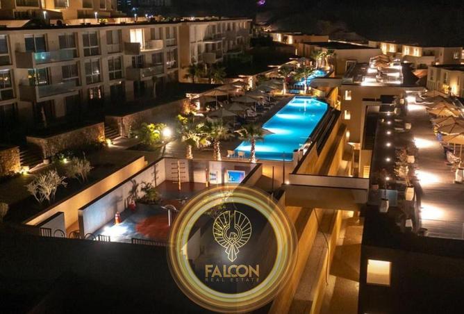 8259281 - Property Image 3