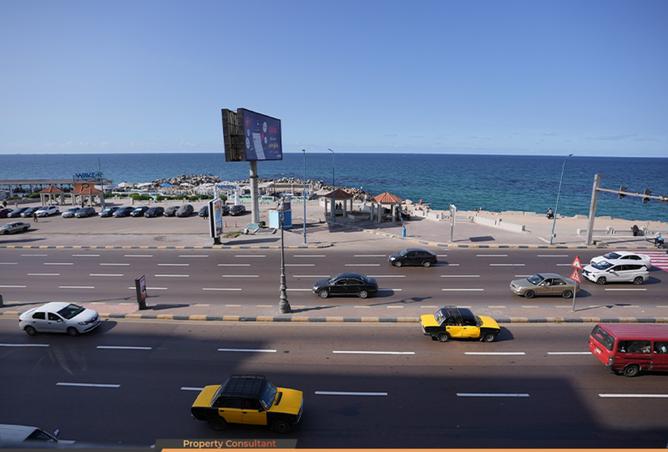 8232529 - صورة العقار 3