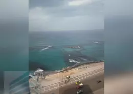 شقة - 3 غرف نوم - 1 حمام للايجار في طريق الجيش - كليوباترا - حي شرق - الاسكندرية