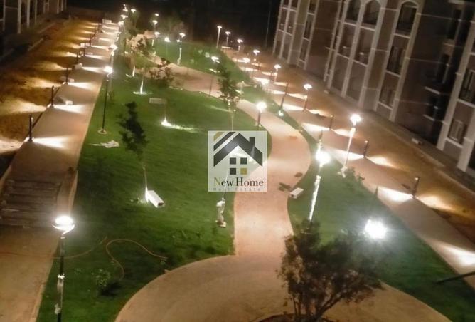 8296885 - Property Image 3