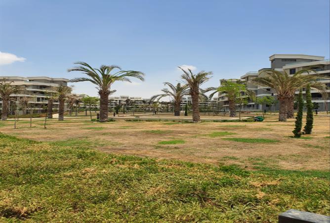 7994323 - صورة العقار 2