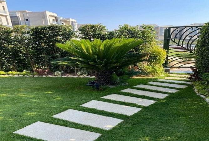 8416836 - Property Image 3