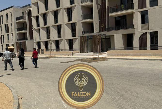 8162925 - Property Image 3