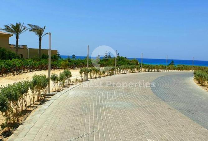 8059053 - Property Image 3