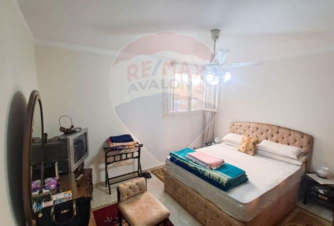 8163757 - Property Image 3