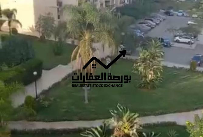 8063058 - صورة العقار 2