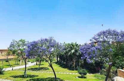Villa - 3 Bedrooms - 4 Bathrooms for sale in Meadows Park - Sheikh Zayed Compounds - Sheikh Zayed City - Giza