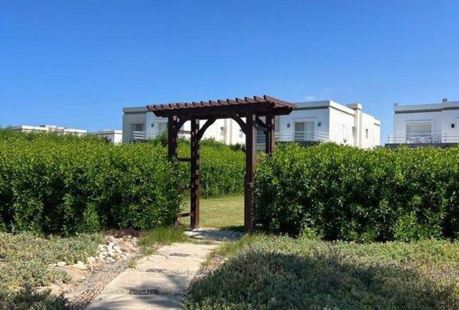 8231213 - صورة العقار 2