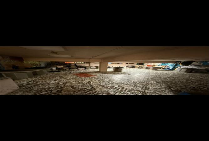 7989040 - Property Image 3