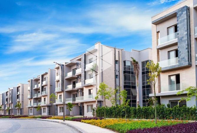 8234295 - Property Image 3