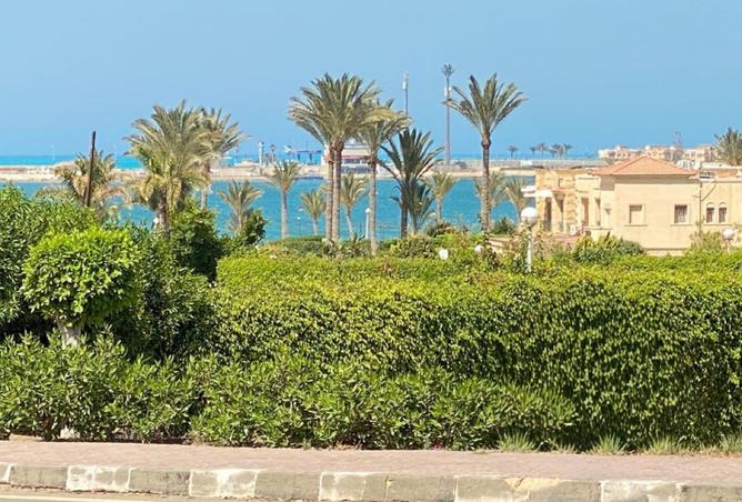 8299646 - الصورة الرئيسية للعقار