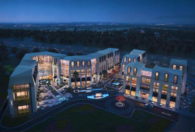 8328323 - Property Image 3