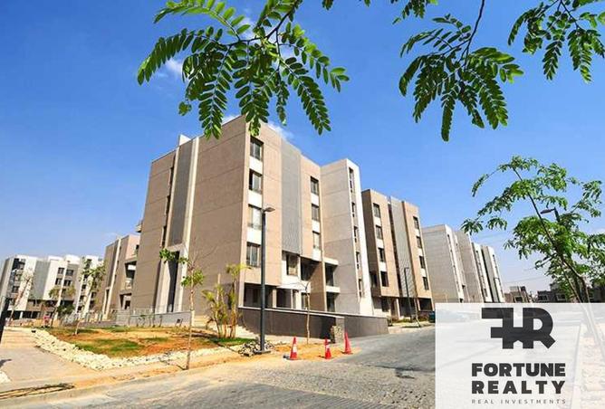 8440217 - Property Image 3