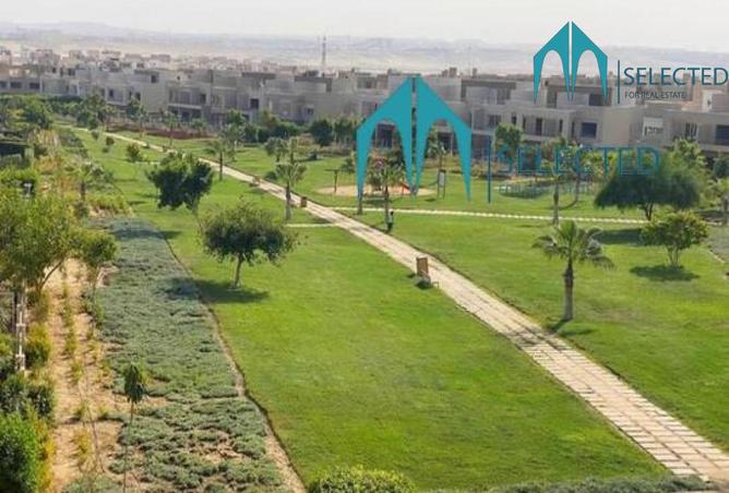 8037397 - صورة العقار 3