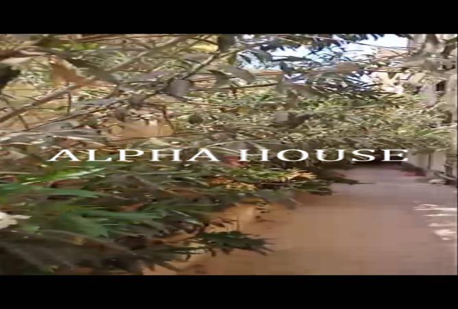 8164630 - الصورة الرئيسية للعقار