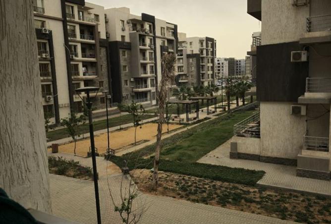 8186297 - Property Image 3