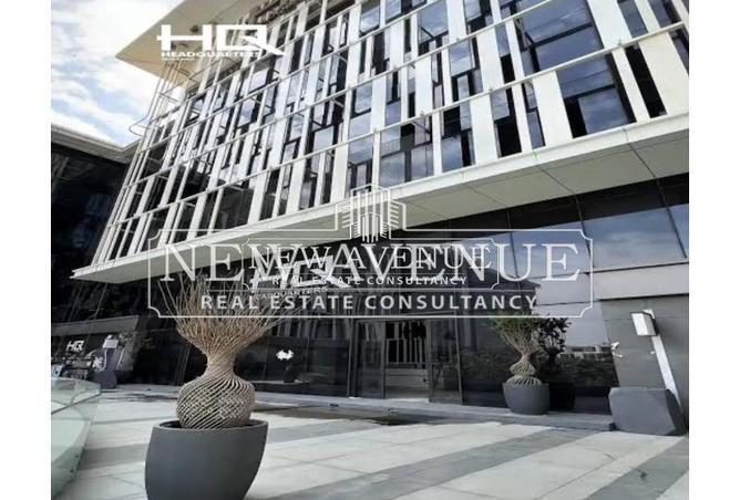 8243813 - Property Image 3