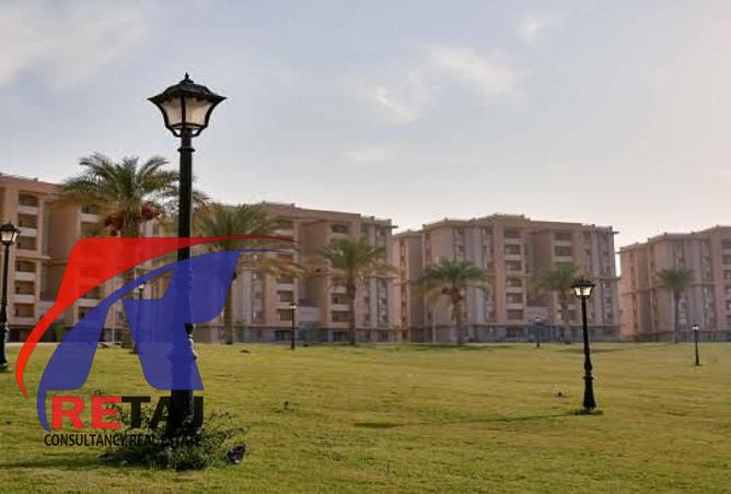 8562353 - Property Image 3