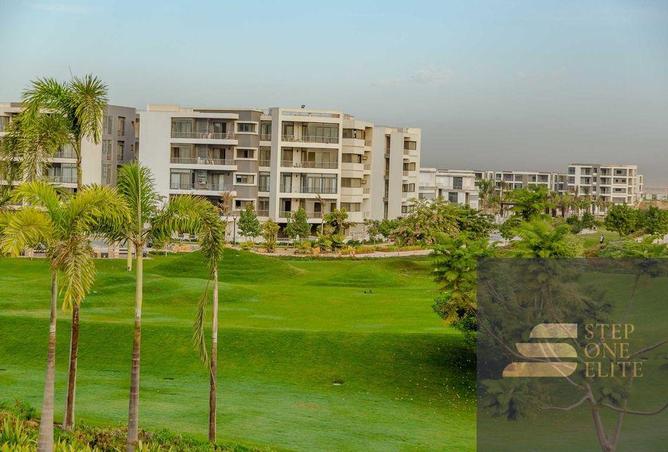 7988877 - Property Image 3