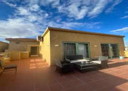 Studio - 1 bathroom for للايجار in Casa - Sheikh Zayed Compounds - Sheikh Zayed City - Giza