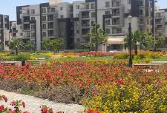 8479784 - صورة العقار 3