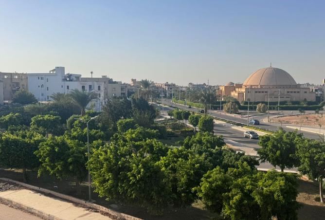 8003562 - صورة العقار 3