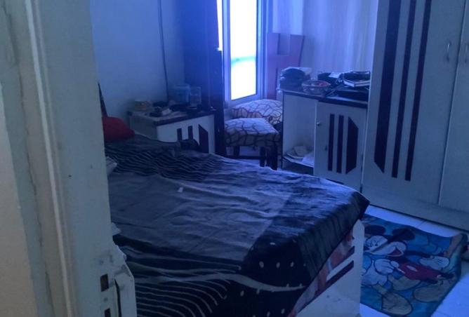 8362725 - Property Image 3