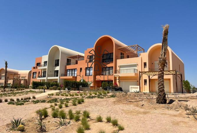 7956729 - Property Image 3