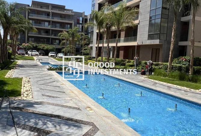 8328874 - Property Image 3