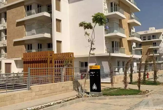 8164083 - Property Image 3