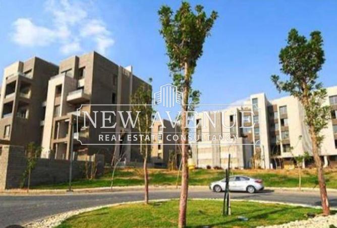 8369011 - Property Image 3