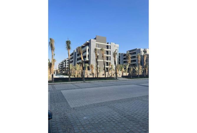 8152554 - Property Image 3