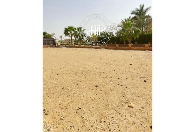 8523336 - صورة العقار 3