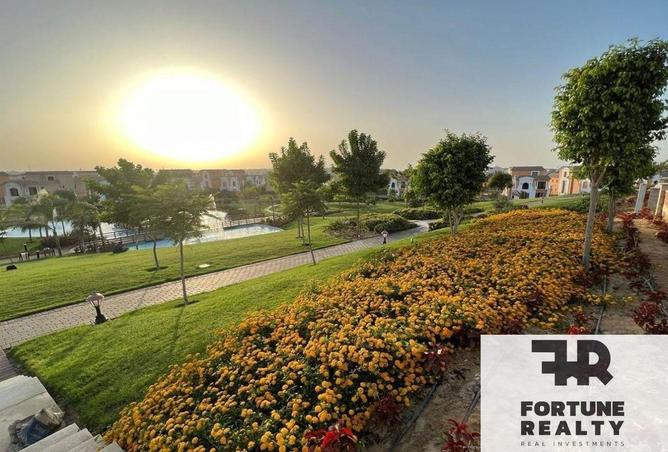 8395354 - صورة العقار 3