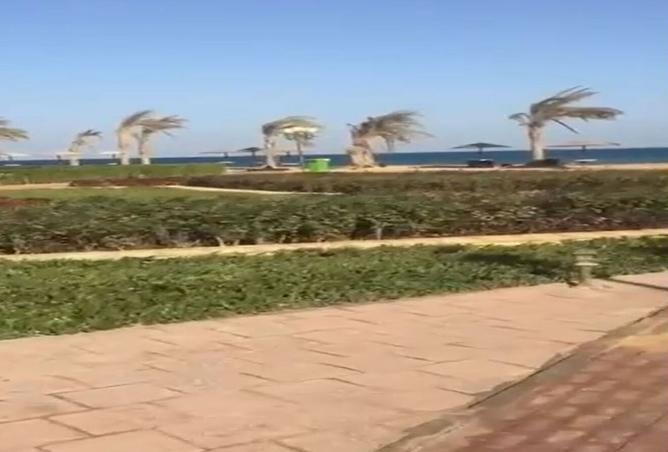 8396074 - Property Image 3