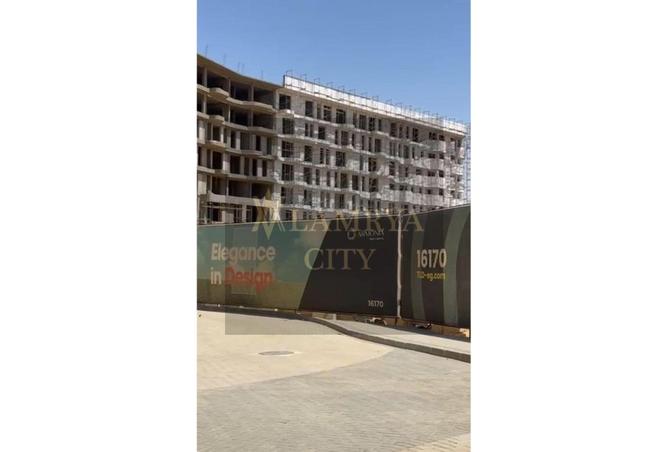 7936314 - Property Image 3